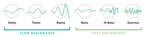 various brain waves diagrams are shown in an illustration. six brain waves are illustrated