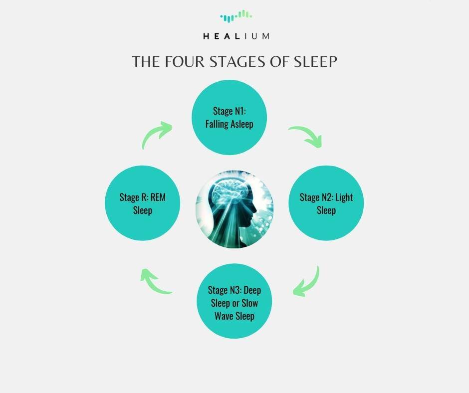 Your Brainwaves During Sleep | What Part of the Brain Controls