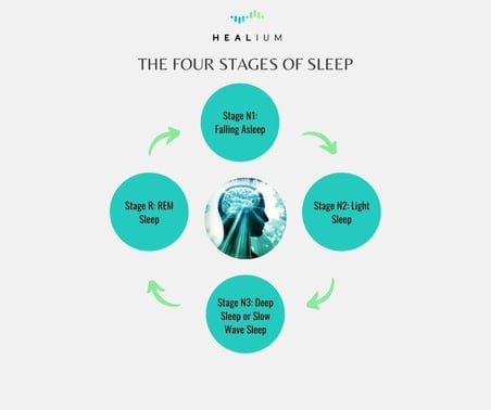 Graphic of the 4 Stages of Sleep