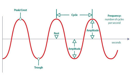 brain waves