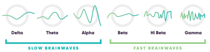 Brain Waves