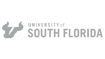 University South Forida