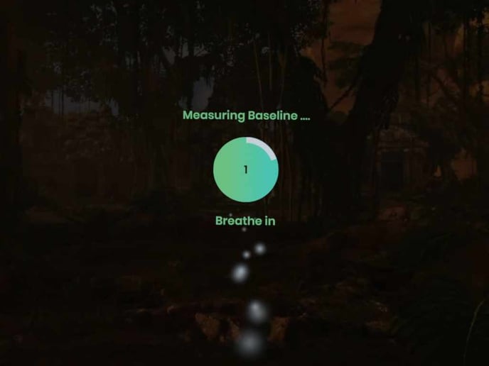 Measuring Baseline-1