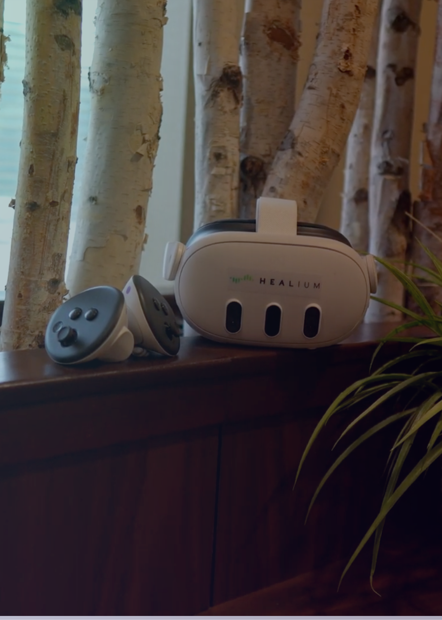 MetaQuest goggles with a healium logo and two controllers sit on a wooden shelf.