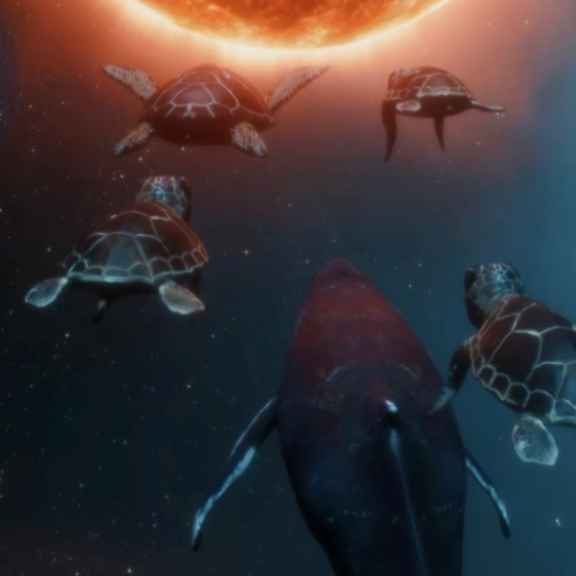 Cosmic Turtle