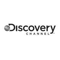 Discovery