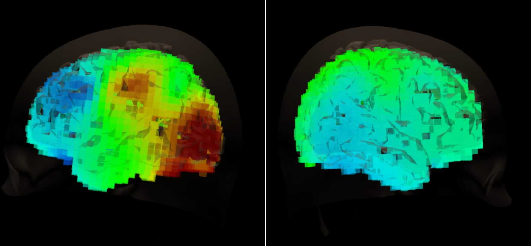 Science left and right hemispheres opt