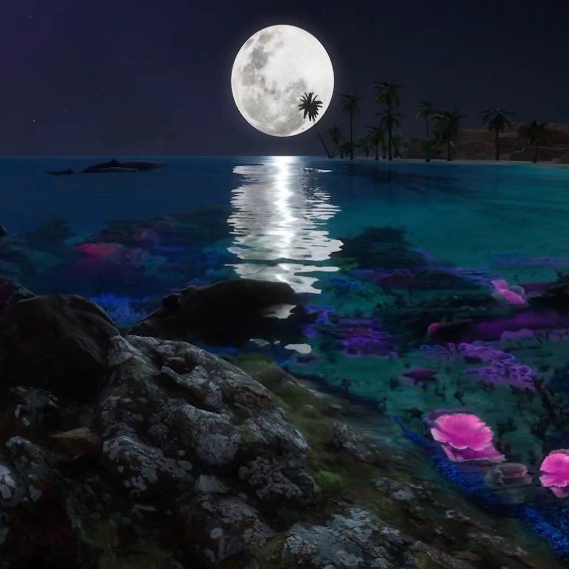 Sparkling Harbor