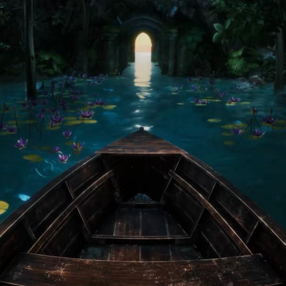 Waterlily Canal