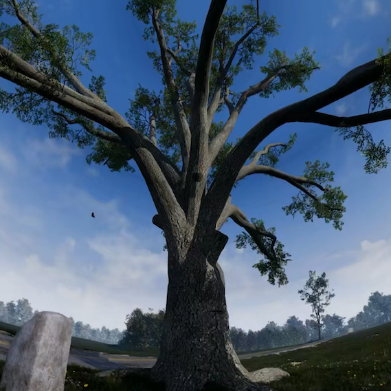 Big Tree Positivity