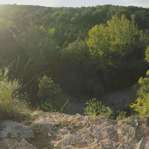 Bluff
