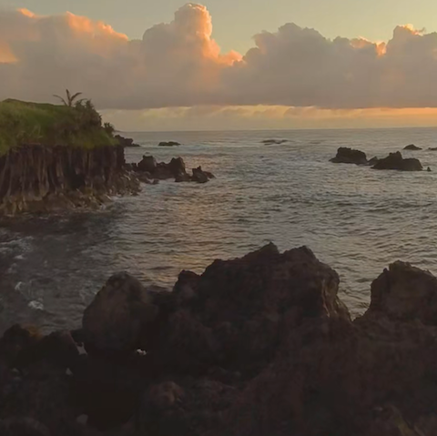 Hawaii Beauty