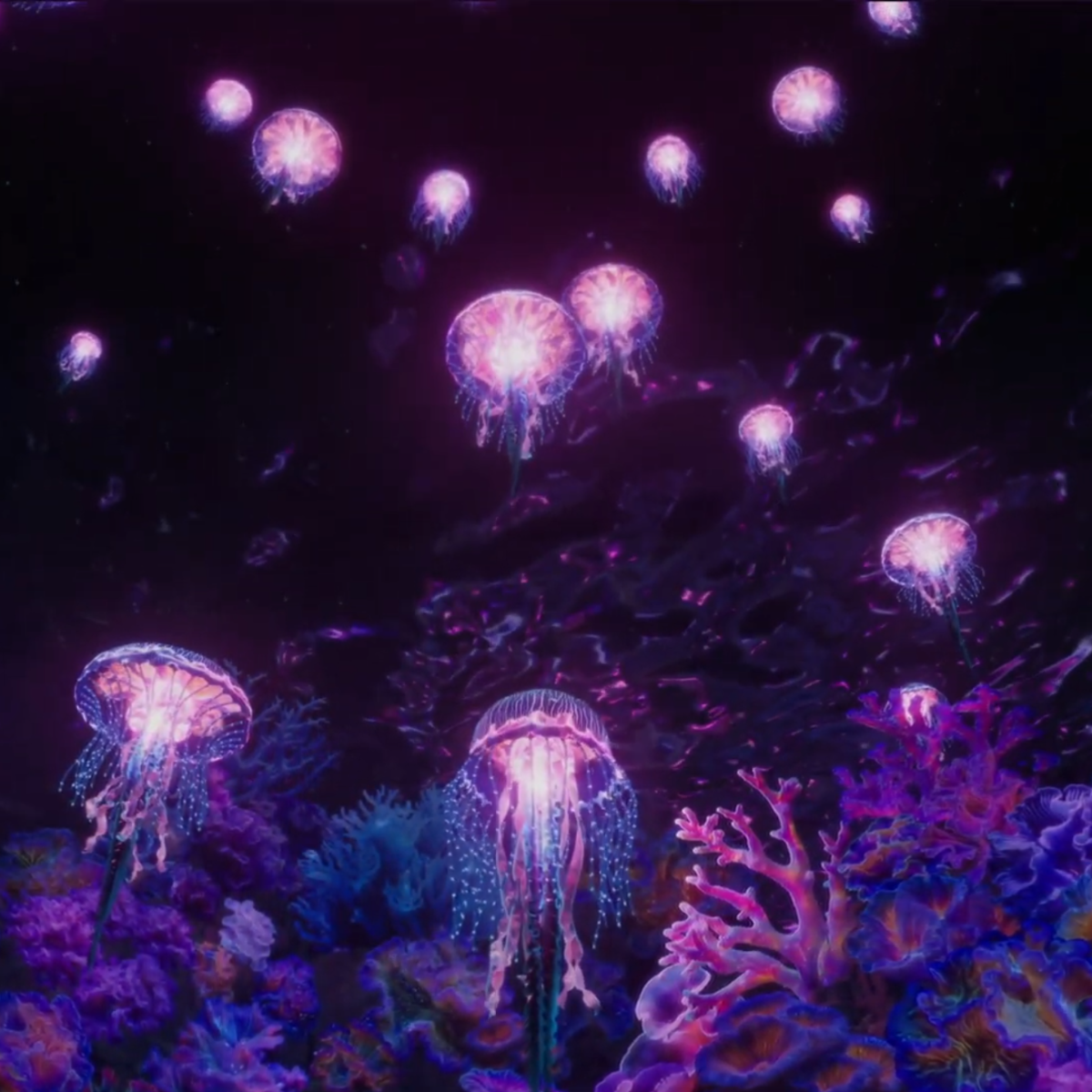 healium-experience-celestial-Sea